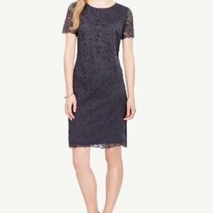 Ann Taylor lace dress 12